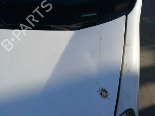Used Hood FIAT FIORINO Box Body/MPV (225_) 1.3 D Multijet (225BXD1A, 225BXB1A, 225BXB11) (75 hp) 16436599