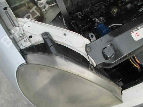 Front right seatbelt CITROËN XSARA Break (N2)  | BP10489446I25 