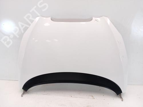 Used Hood SEAT TOLEDO III (5P2) 1.9 TDI (105 hp) 31248500