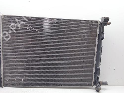 Used Water radiator RENAULT MEGANE II (BM0/1_, CM0/1_) 2.0 16V Turbo (163 hp) 32988114