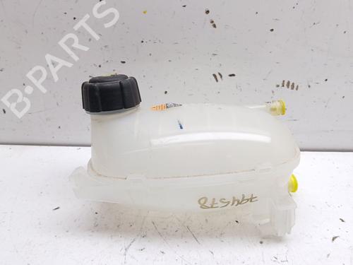 Used Expansion tank Expansion tank NISSAN JUKE (F16_) 1.0 (114 hp) 36098246 36098246