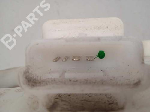 Fuel pump FIAT PUNTO EVO (199_)  | BP10157325M76 