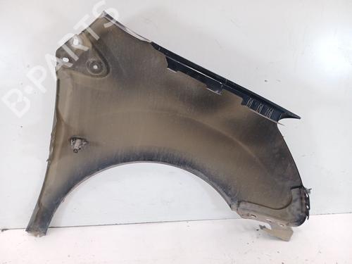 Guarda-lamas esquerdo CITROËN BERLINGO MULTISPACE (B9) 1.6 | BP31290792C41 