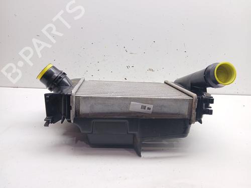Intercooler RENAULT CAPTUR II (HF_) TCe 100 (HFMT) | BP15910343M30 - Image 6