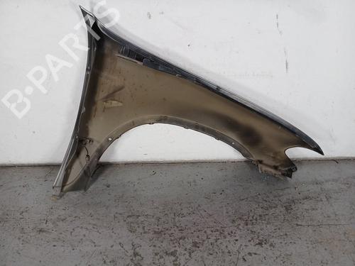 Left front fenders BMW X5 (E53)  | BP18786629C41 