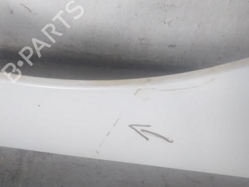 Left front fenders RENAULT KANGOO Express (FW0/1_) 1.5 dCi 85 (FW0K, FW0L, FW0B) | BP21270718C41 