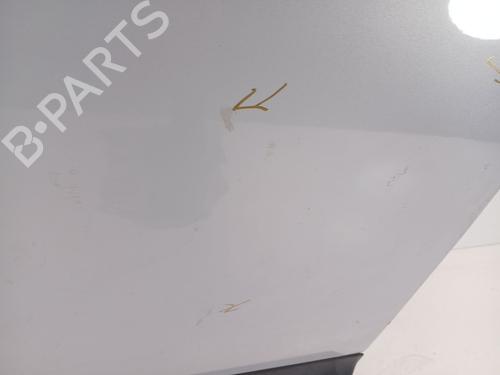 Left front door NISSAN QASHQAI I (J10, NJ10) 1.5 dCi | BP28976718C2