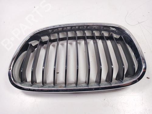 grille-bmw-1-f20-2011-2012-2013-2014-2015-2016-2017-2018-2019-32781602 main image