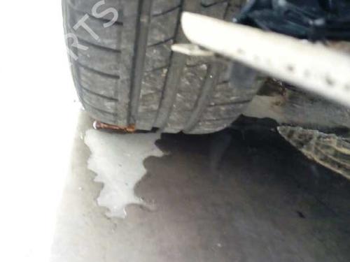 Remskive FORD FOCUS I (DAW, DBW) 1.8 Turbo DI / TDDi | BP14249528M122 