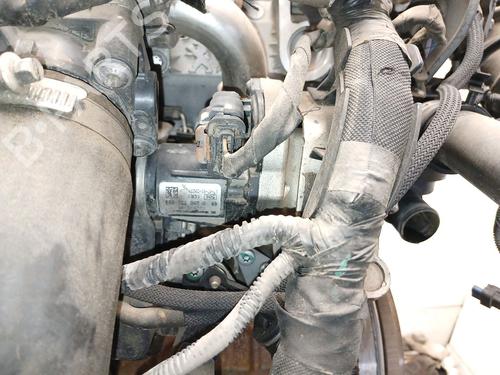 Engine FORD FOCUS III 2.0 TDCi | BP32112805M1 