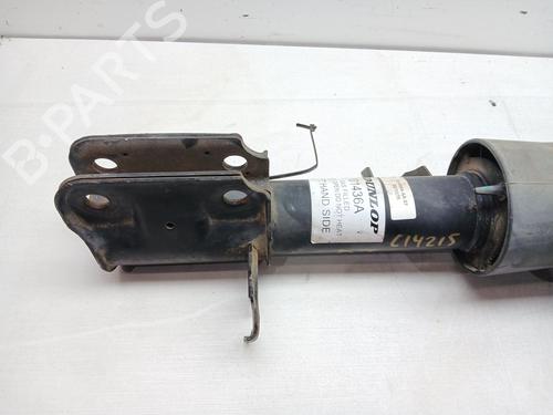 Left front shock absorber LAND ROVER RANGE ROVER III (L322) 3.0 D 4x4 | BP26501322M16 