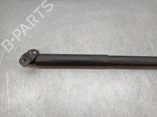 Tailgate lift support BMW 3 Touring (F31)  | BP26706129C138 