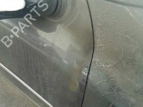 Right front door MERCEDES-BENZ M-CLASS (W164) ML 420 CDI 4-matic (164.128) | BP12946652C3 