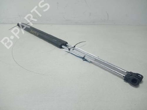 Used Tailgate lift support PEUGEOT 807 (EB_) 2.0 HDi (107 hp) 19106025