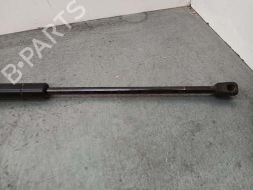 Tailgate lift support LAND ROVER RANGE ROVER SPORT I (L320) 3.0 D 4x4 | BP25437216C138 