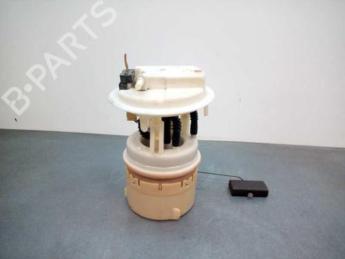 Fuel pump PEUGEOT 307 (3A/C)  | BP19274952M76 