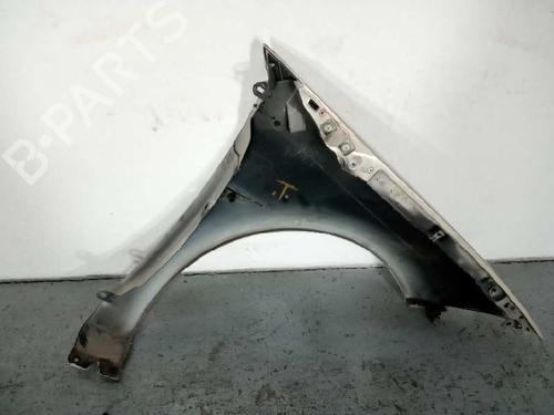 Left front fenders RENAULT MEGANE II (BM0/1_, CM0/1_)  | BP17912180C41 