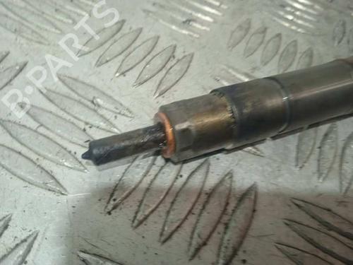 BP13321020M100 | Injector VW POLO V (6R1, 6C1) 1.4 TDI BP13321020M100