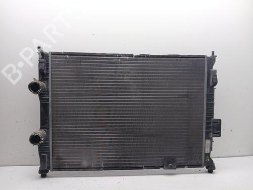 Used Water radiator Water radiator NISSAN QASHQAI I (J10, NJ10) 2.0 (141 hp) 36074105 36074105