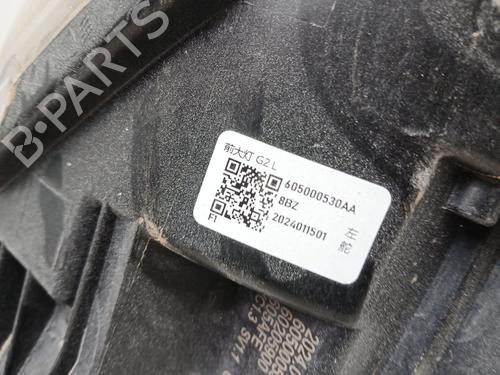 Left headlight OMODA 5 | BP29284267C28