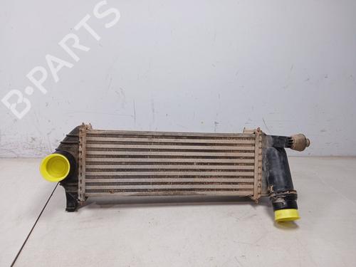 Used Intercooler MERCEDES-BENZ CITAN Box Body/MPV (W415) 109 CDI (415.601, 415.603, 415.605) (90 hp) 23168928