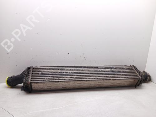 Intercooler AUDI A5 (8T3) 2.7 TDI | BP30003223M30 