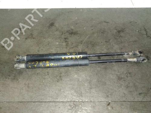 Used Hood lift support BMW 3 (E46) 320 d (136 hp) 14249774