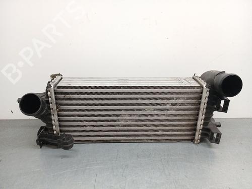 Intercooler Intercooler FORD FOCUS III 1.0 EcoBoost (125 hp) 34369590 34369590