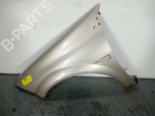 Left front fenders RENAULT MEGANE II (BM0/1_, CM0/1_)  | BP17912180C41 