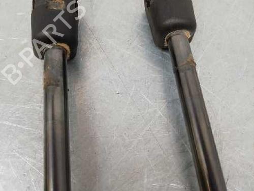 Tailgate lift support FORD FIESTA VI (CB1, CCN) 1.25 | BP14250601C138 
