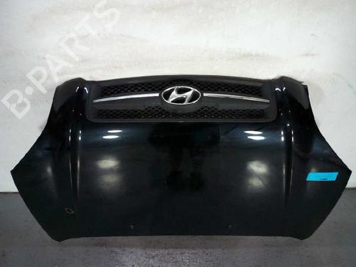 Hood HYUNDAI TUCSON (JM) 2.0 CRDi | BP17001919C1 