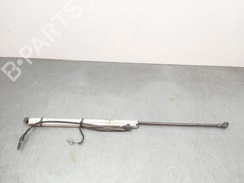 Used Tailgate lift support NISSAN MICRA III (K12) 1.4 16V (88 hp) 30505282