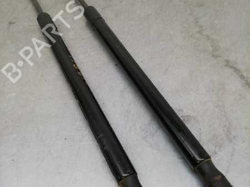 Tailgate lift support FORD FIESTA VI (CB1, CCN) 1.25 | BP14250601C138 