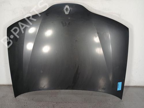 Used Hood RENAULT LAGUNA II Grandtour (KG0/1_) 1.9 dCi (KG0G) (120 hp) 19494674