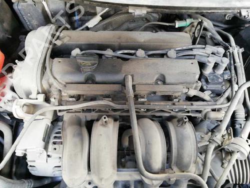 Køler FORD FIESTA VI (CB1, CCN)  | BP21288890M31 