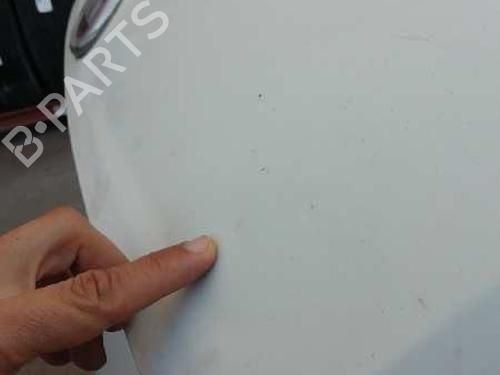 Hood FIAT FIORINO Box Body/MPV (225_) 1.3 D Multijet (225BXD1A, 225BXB1A, 225BXB11) | BP15517203C1