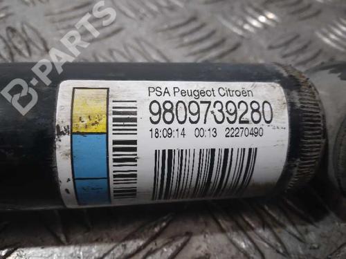 Left rear shock absorber CITROËN C4 CACTUS  | BP10520553M18 