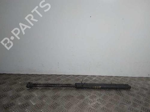 Used Tailgate lift support FORD FOCUS C-MAX (DM2) 2.0 TDCi (136 hp) 14250496