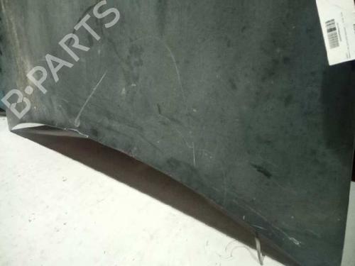 Hood RENAULT VEL SATIS (BJ0_) 2.2 dCi (BJ0E, BJ0F, BJ0G, BJ0H) | BP6060658C1