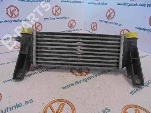 Intercooler FORD TOURNEO CONNECT  | BP2473530M30 
