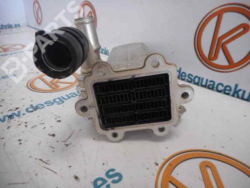 Egr VW TOURAN (1T1, 1T2)  | BP2480627M69 
