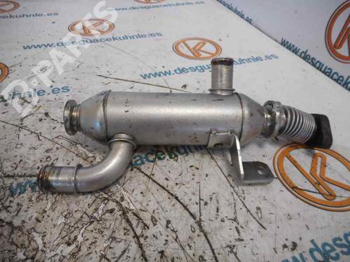 Egr CITROËN XSARA (N1)  | BP2470067M69 