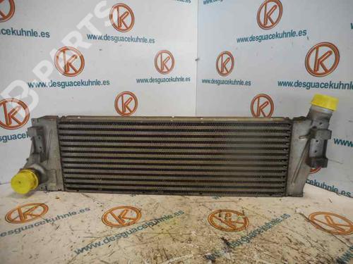 Intercooler RENAULT MEGANE II Saloon (LM0/1_)  | BP2485342M30 