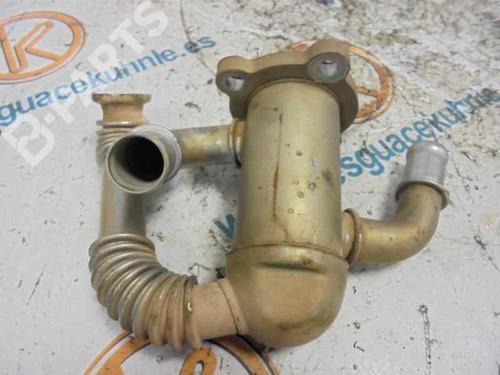 Egr FIAT PUNTO (188_) 1.3 JTD 16V | BP2456062M69 