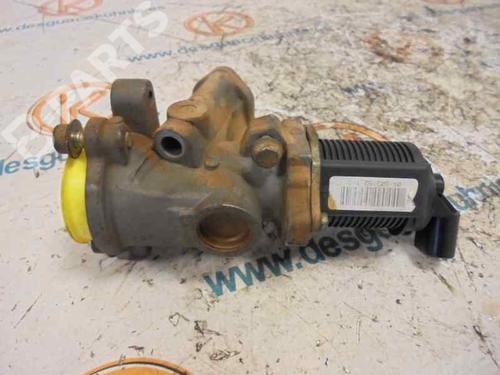 EGR-Ventil FIAT PUNTO (188_) 1.3 JTD 16V | BP2450102M69 