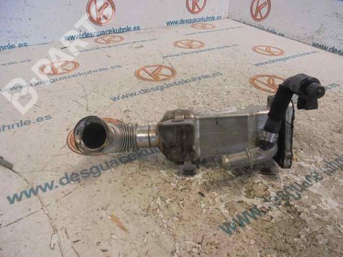 EGR-Ventil RENAULT SCÉNIC II (JM0/1_) 1.9 dCi (JM0G, JM12, JM1G, JM2C) (120 hp) 2470065