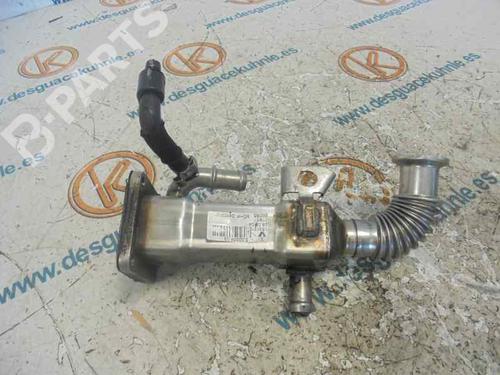 Egr RENAULT SCÉNIC II (JM0/1_) 1.9 dCi (JM0G, JM12, JM1G, JM2C) | BP2470065M69 