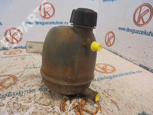 Used Expansion tank RENAULT KANGOO (KC0/1_) D 65 1.9 (KC0E, KC02, KC0J, KC0N) (64 hp) 2480935