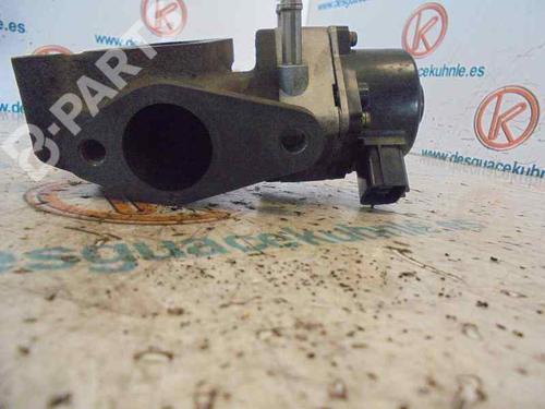 Egr NISSAN PRIMERA Hatchback (P12)  | BP2488774M69 