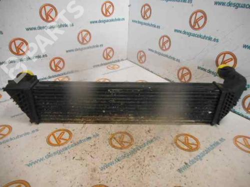 Intercooler RENAULT LAGUNA II (BG0/1_) 1.9 dCi (BG1A, BG1V) | BP2495796M30 
